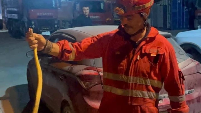Antakya’da aracın içinde görülen yılan yakalandı