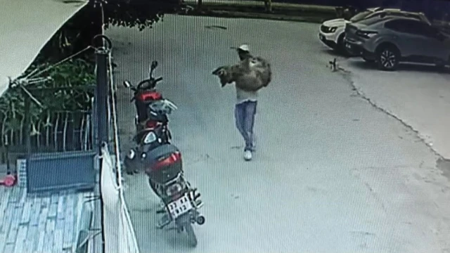 Araçla ezilen köpek kurtarılamadı