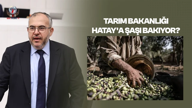 ÇALIŞKAN ZEYTİN ÜRETİCİLERİNİN SESİ OLDU
