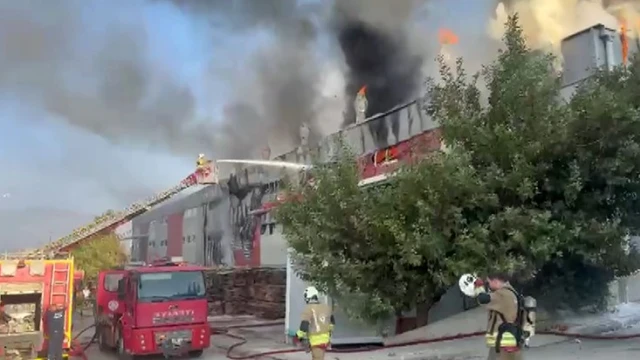 Hatay’da mobilya fabrikası alevlere teslim oldu