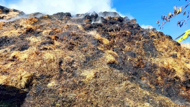 Isparta’da çıkan yangında bin 150 balya kül oldu