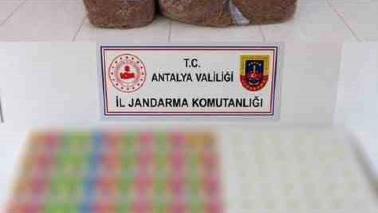 Kaçak tütün operasyonlarında 408 kilogram kıyılmış tütün ele geçirildi