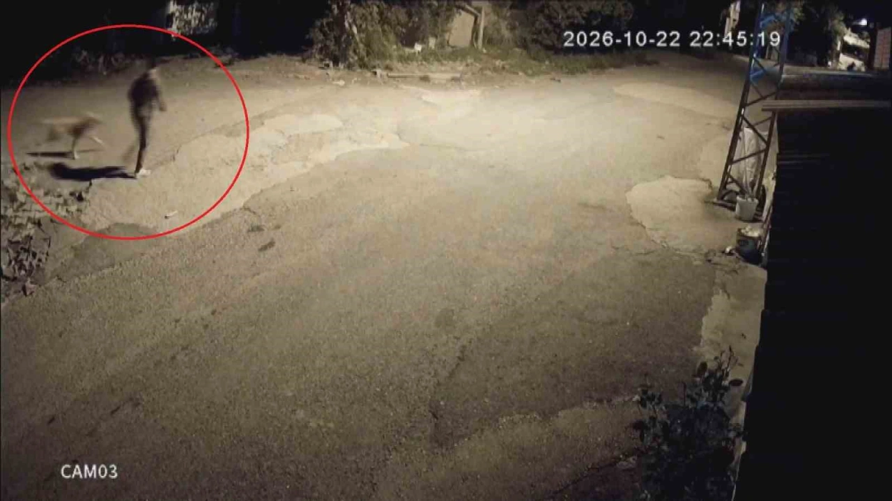 Motosikletle gelip köpeği çalan hırsızlara sitem: "Köpek çalmak nedir"