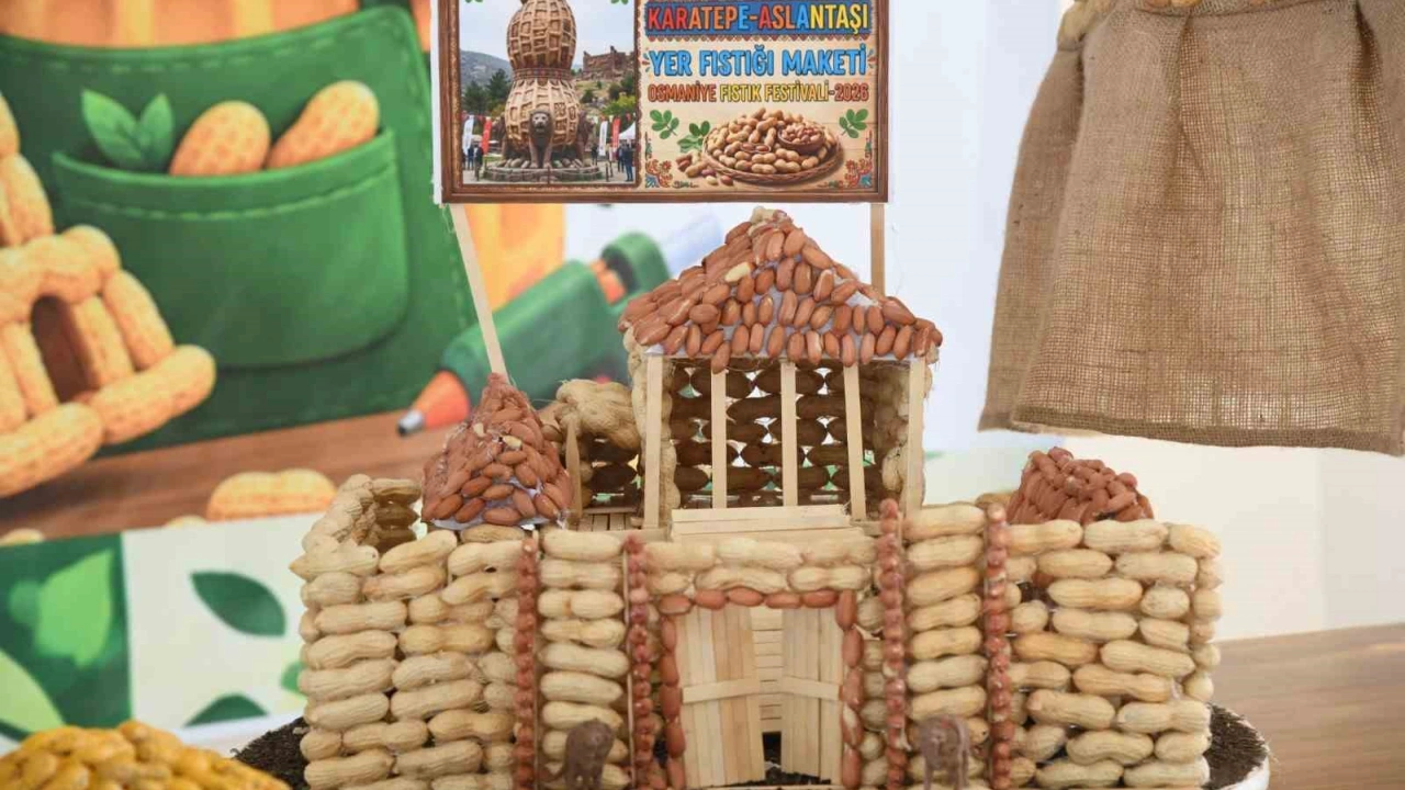 Osmaniye’de öğrenciler yer fıstığının hikayesini sanatla anlattı