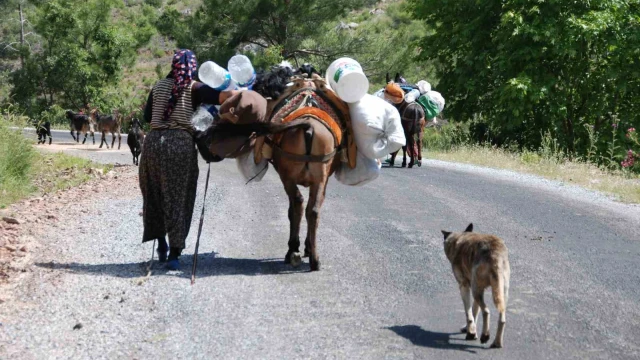 Yörüklerin Toroslar’dan sahile dönüş yolculuğu başladı