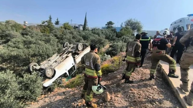 Zeytinliğe uçan kamyonetin sürücüsü yaralandı