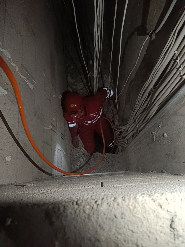 Havalandırma boşluğuna düşen kedinin itfaiye tarafından kurtarıldığı anlar kamerada (Fotoğraflı) Esma Kural HATAY (İHA) - Hatay'ın Dörtyol ilçesinde havalandırma boşluğuna düşen kedinin itfaiye ekipleri tarafından kurtarıldığı anlar kameraya yansıdı. Dörtyol ilçesi Numune Evler Mahallesi'nde bir apartmanın havalandırma boşluğuna kedi düştü. Havalandırma boşluğuna düşen kedinin miyavlamasını duyan vatandaşlar, durumu 112 Acil Çağrı Merkezi'ne bildirdi. İhbar üzerine olay yerine itfaiye ekipleri sevk edildi. Kısa sürede bölgeye gelen itfaiye ekipleri, havalandırma boşluğuna inerek kediyi kurtardı. Ekiplerin kediyi kurtarma anları saniye saniye kameraya yansıdı. Havalandırma boşluğundan kurtarılan kedi, doğal yaşam alanına bırakıldı.