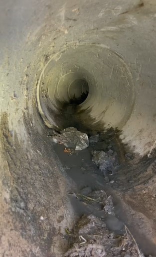 Kanalizasyon borusuna sıkışan buzağıyı itfaiye kurtardı