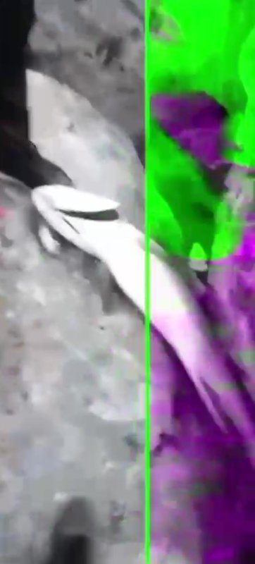 Amatör balıkçının 30 kiloluk balık heyecanı 13 bin TL'lik telefona mal oldu