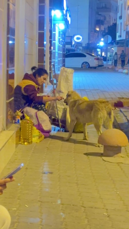 Yemeğini sokak köpeği ile paylaşan kadın yürekleri ısıttı