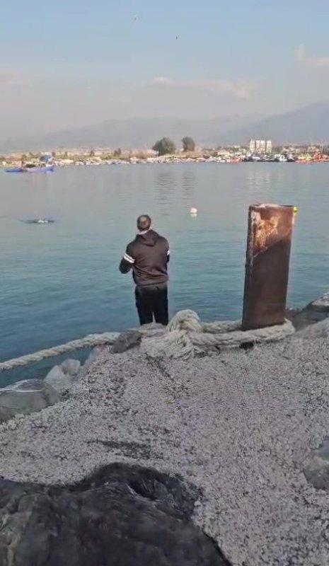 Balığa niyetle denize attığı oltasına martı takıldı, gülümseten anlar kamerada