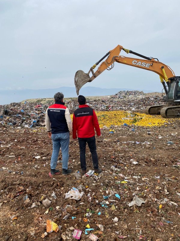 Pestisit tespit edilen Dubai’ye ihraç edilecek 71 ton limon imha edildi (Fotoğraflı) Veysel Korkmaz HATAY (İHA) - Hatay’dan Dubai’ye ihraç edilecek olan 71 ton 250 kilogram limonda Türkiye’de yasaklı olan Fenbutatin Oxide maddesi tespit edildi. Tonlarca limon, ekipler tarafından imha edildi. Hatay İl Tarım ve Orman Müdürlüğü ekipleri halk sağlığının korunmasına yönelik çalışmalarını aralıksız sürdürüyor. Ekipler tarafından yapılan denetimlerde Dubai’ye ihraç edilmek üzere hazırlanan 71 ton kilogram limonda Türkiye’de yasaklı olan Fenbutatin Oxide maddesi tespit edildi. Türk Gıda Kodeksi’ne uygun olmayan toplam 71 ton 250 kilogram limon, muhafaza altına alınarak ve 3 Mart tarihinde imha edildi. Ekipler tarafından gıda güvenilirliği için denetimlerin aralıksız devam edeceğini belirtti.