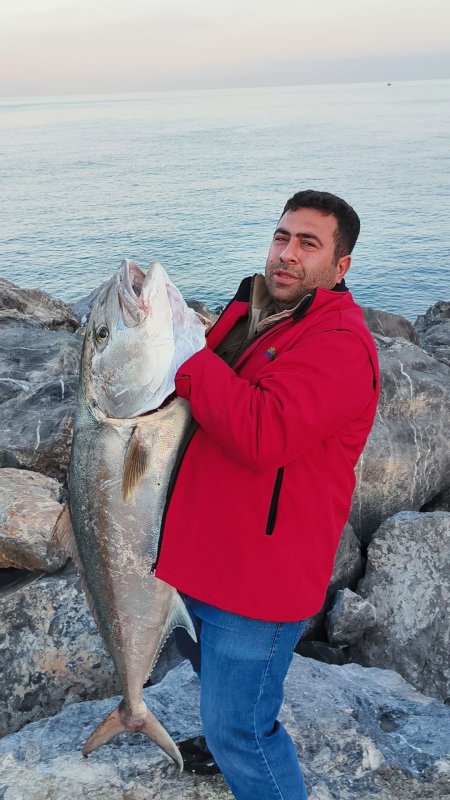 65 kiloluk 2 balık yakalayan amatör balıkçı, 2 akyayı 18 bin TL’ye sattı - Amatör balıkçı Mehmet Çalbaş: "İki balık toplamda 65 kilogram civarıydı yaklaşık 18 bin TL’ye sattık" (Fotoğraflı) Ogün Aslan HATAY (İHA) - Hatay’da amatör balıkçı İskenderun Körfezi’nde oltayla yakaladığı ve ağırlıkları 65 kilogram gelen 2 akya balığını 18 bin TL’ye sattı. Dörtyol ilçesinden İskenderun Körfezi’ne botla açılan Mehmet Çalbaş’ın oltasına iki devasa akya balığı takıldı. Çalbaş, arkadaşıyla birlikte uzun süren mücadeleyle toplam ağırlıkları 65 kilogram gelen 2 balığı yakalamayı başardı. Yakaladığı balık karşısında heyecan yaşayan Çalbaş, karaya güçlükle çıkardığı balıkları kilogram fiyatı 280 TL’den İskenderun’daki bir işletmeye toplam 18 bin TL karşılığında sattı. "İki balık toplamda 65 kilo civarıydı yaklaşık 18 bin TL’ye sattık" Yakaladığı akya balığını İskenderun ilçesinde bir işletmeye satan Mehmet Çalbaş, "Amatör balıkçılık yapıyorum ilk defa böyle bir balıkla karşılaşıyorum. Kısmetimizde bu varmış çok şükür. Oltayla yaklaşık her balık için yarım saat uğraştık bu uğraşların sonunda kısmetimizi aldık çok şükür. Dörtyol tarafında yakaladık balığı yakalarken çok heyecanlandık uzun uğraşlar vererek bunları kıyıya çıkarttık. İki balık toplamda 65 kilo falan civarıydı yaklaşık 18 bin TL’ye sattık. İnsan mutlu oluyor balık yakalayarak psikolojisini düzeltiyor. Stres atıyorsunuz hem de maddi olarak cebinize harçlık oluyor" şeklinde konuştu.