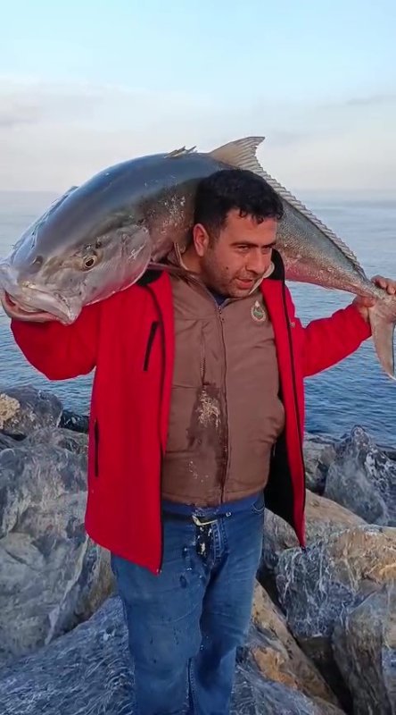 65 kiloluk 2 balık yakalayan amatör balıkçı, 2 akyayı 18 bin TL’ye sattı - Amatör balıkçı Mehmet Çalbaş: "İki balık toplamda 65 kilogram civarıydı yaklaşık 18 bin TL’ye sattık" (Fotoğraflı) Ogün Aslan HATAY (İHA) - Hatay’da amatör balıkçı İskenderun Körfezi’nde oltayla yakaladığı ve ağırlıkları 65 kilogram gelen 2 akya balığını 18 bin TL’ye sattı. Dörtyol ilçesinden İskenderun Körfezi’ne botla açılan Mehmet Çalbaş’ın oltasına iki devasa akya balığı takıldı. Çalbaş, arkadaşıyla birlikte uzun süren mücadeleyle toplam ağırlıkları 65 kilogram gelen 2 balığı yakalamayı başardı. Yakaladığı balık karşısında heyecan yaşayan Çalbaş, karaya güçlükle çıkardığı balıkları kilogram fiyatı 280 TL’den İskenderun’daki bir işletmeye toplam 18 bin TL karşılığında sattı. "İki balık toplamda 65 kilo civarıydı yaklaşık 18 bin TL’ye sattık" Yakaladığı akya balığını İskenderun ilçesinde bir işletmeye satan Mehmet Çalbaş, "Amatör balıkçılık yapıyorum ilk defa böyle bir balıkla karşılaşıyorum. Kısmetimizde bu varmış çok şükür. Oltayla yaklaşık her balık için yarım saat uğraştık bu uğraşların sonunda kısmetimizi aldık çok şükür. Dörtyol tarafında yakaladık balığı yakalarken çok heyecanlandık uzun uğraşlar vererek bunları kıyıya çıkarttık. İki balık toplamda 65 kilo falan civarıydı yaklaşık 18 bin TL’ye sattık. İnsan mutlu oluyor balık yakalayarak psikolojisini düzeltiyor. Stres atıyorsunuz hem de maddi olarak cebinize harçlık oluyor" şeklinde konuştu.