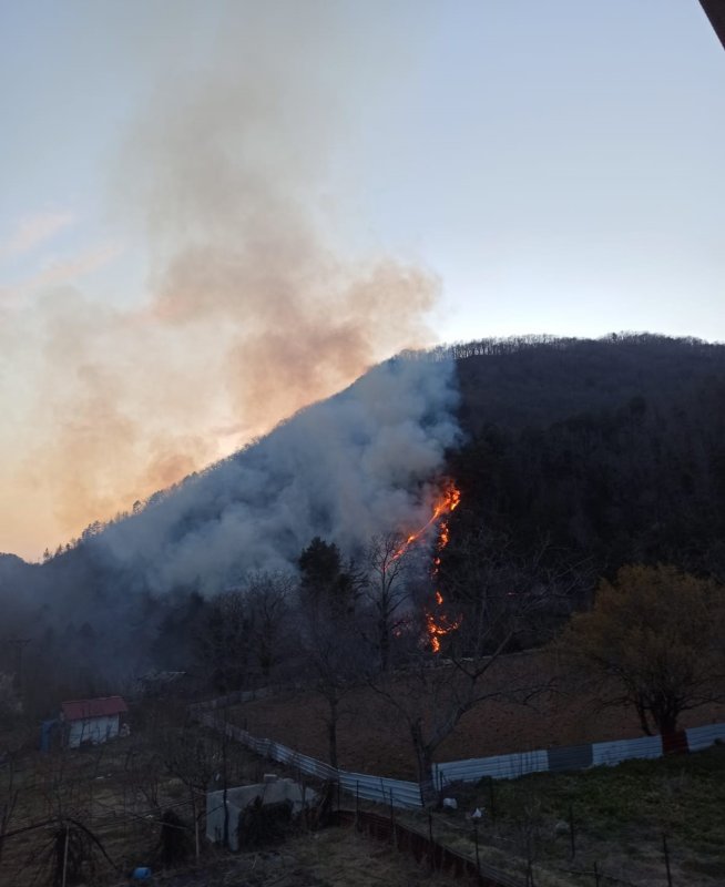Hatay'daki orman yangını ekiplerin müdahalesiyle kontrol altına alındı