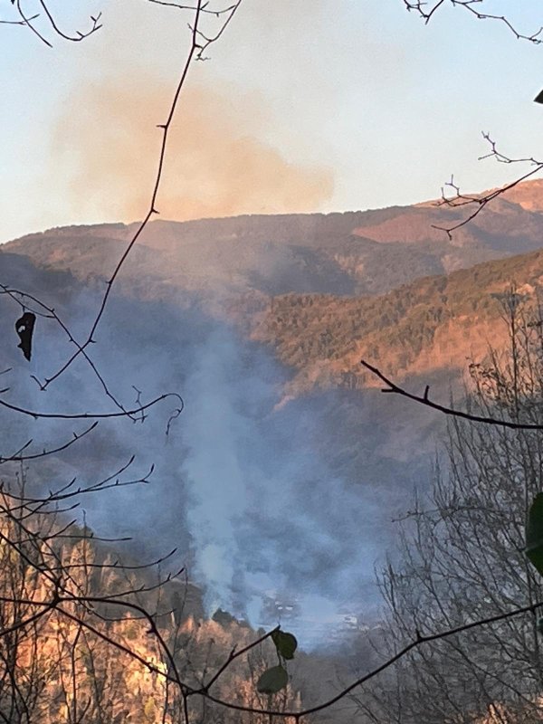 Hatay'daki orman yangını ekiplerin müdahalesiyle kontrol altına alındı