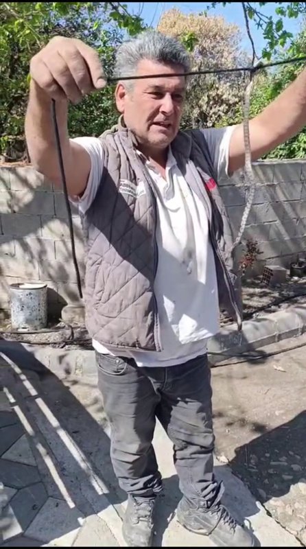 Eve giren yavru yılanı vatandaşlar yakaladı (Fotoğraflı) Ferit Savaş HATAY (İHA) - Hatay’da eve giren yavru yılan vatandaşlar tarafından yakalanarak doğaya bırakıldı. Havaların ısınmaya başlamasıyla birlikte Doğu Akdeniz’de yılanlar insanların yaşam alanlarında görülmeye başlandı. Dörtyol ilçesi Kuzuculu Mahallesinde eve giren yavru yılan İbrahim Börekoğlu isimli vatandaş tarafından yakalandı. Börekoğlu, yılana zarar vermeden hayvanı insan yaşamından uzak bir noktada doğaya bıraktı.