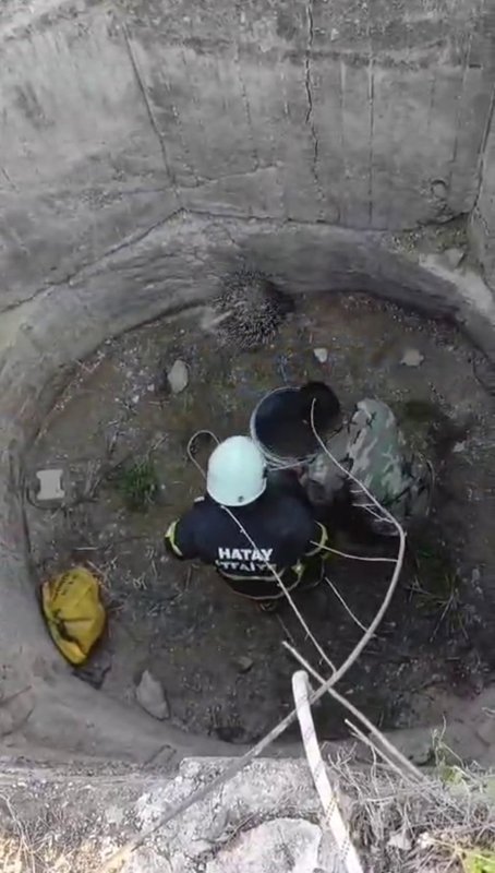 Su kuyusuna düşen oklu kirpiyi itfaiye kurtardı