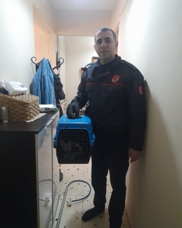 Havalandırma boşluğuna düşen kediyi itfaiye kurtardı (Fotoğraflı) Esma Kural HATAY (İHA) - Hatay’ın İskenderun ilçesinde binanın havalandırma boşluğuna düşen kedi itfaiye ekipleri tarafından kurtarıldı. İskenderun ilçesi Hürriyet Mahallesi Yavuz Sultan Selim Caddesi üzerinde bulunan bir binanın havalandırma boşluğundan gelen kedi sesini fark eden vatandaş durumu itfaiye ekiplerine bildirdi. İhbar üzerine bölgeye itfaiye ekibi sevk edildi. İtfaiye ekipleri, kediyi özel aparatla yakalayarak hava boşluğundan kurtardı. Ekiplerin titiz çalışmasıyla sağlıklı bir şekilde kurtarılan kedi sahibine teslim edildi.