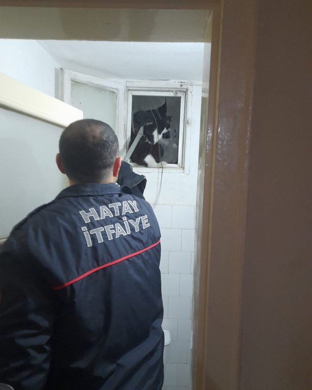Havalandırma boşluğuna düşen kediyi itfaiye kurtardı (Fotoğraflı) Esma Kural HATAY (İHA) - Hatay’ın İskenderun ilçesinde binanın havalandırma boşluğuna düşen kedi itfaiye ekipleri tarafından kurtarıldı. İskenderun ilçesi Hürriyet Mahallesi Yavuz Sultan Selim Caddesi üzerinde bulunan bir binanın havalandırma boşluğundan gelen kedi sesini fark eden vatandaş durumu itfaiye ekiplerine bildirdi. İhbar üzerine bölgeye itfaiye ekibi sevk edildi. İtfaiye ekipleri, kediyi özel aparatla yakalayarak hava boşluğundan kurtardı. Ekiplerin titiz çalışmasıyla sağlıklı bir şekilde kurtarılan kedi sahibine teslim edildi.