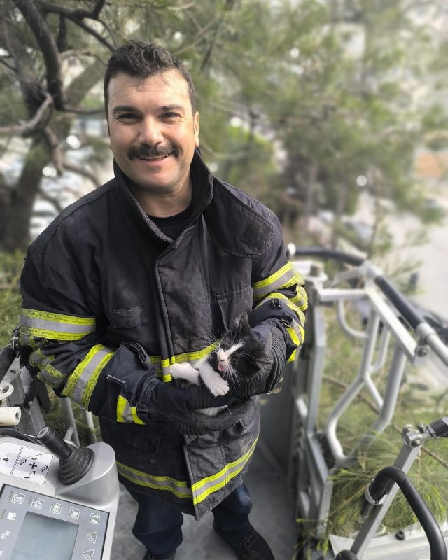 Ağaçta mahsur kalan kediyi itfaiye kurtardı (Fotoğraflı) Ahmet Arslan HATAY (İHA) - Hatay’da ağaçta mahsur kalan kedi itfaiye ekipleri tarafından kurtarıldı. İskenderun ilçesi Fener Caddesi Millet Parkı’ndaki ağaca çıkan yavru kedi ağaçta mahsur kaldı. Durumu fark eden vatandaşlar durumu itfaiye ekiplerine bildirdi. Mahsur kedi, ekiplerin titiz çalışmasıyla sağlıklı şekilde kurtarılarak hayvansever vatandaşlara teslim edildi.