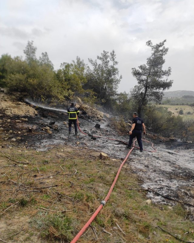 Yayladağı’nda ormanlık alanda yangın