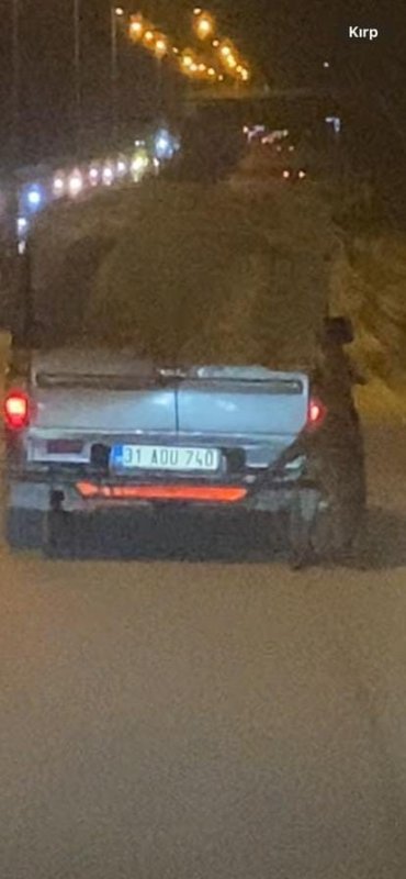 Aracın arkasına bağlı köpekle metrelerce yol gittiler