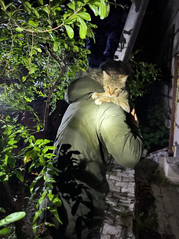 Balkonda mahsur kalan kediyi itfaiye kurtardı