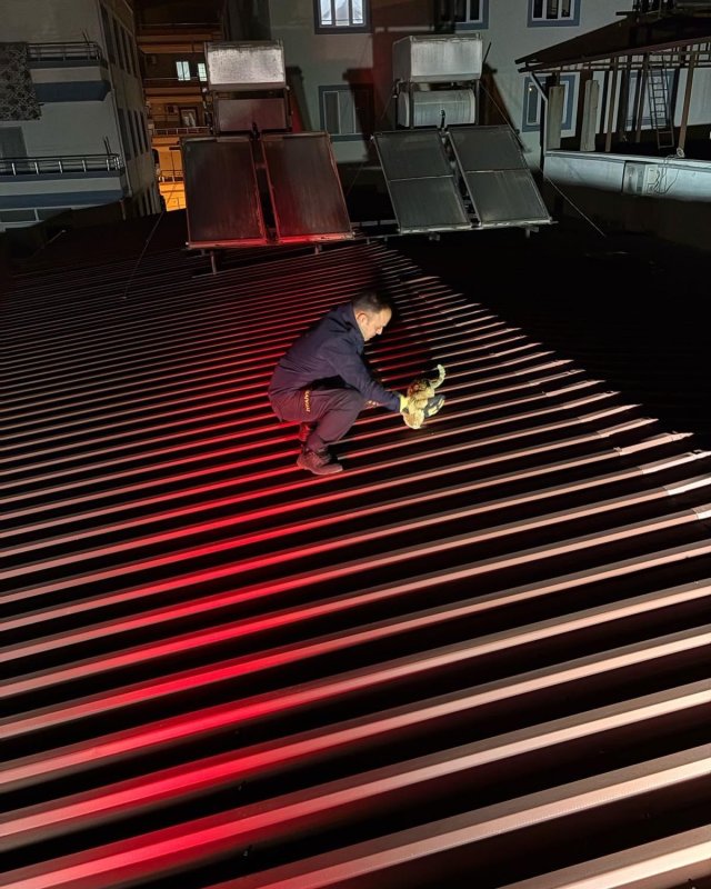 Çatıda mahsur kalan kediyi itfaiye kurtardı