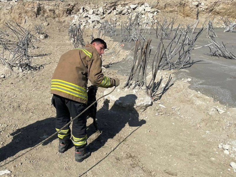 HATAY’ın Antakya ilçesine bağlı Emek Mahallesi’nde süren TOKİ şantiyesinde bulunan 15 metre derinliğinde çukura düşen köpek itfaiye ekipleri tarafından kurtarıldı. 