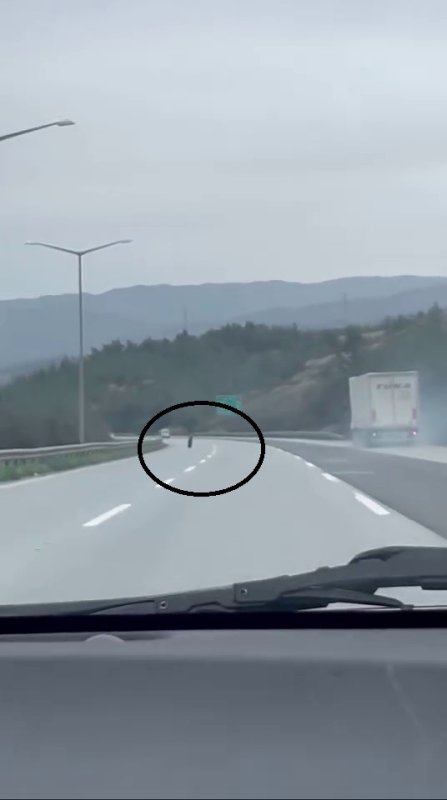 Tırdan fırlayan lastik otobanda yüzlerce metre ilerledi