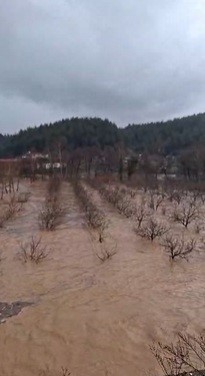 Çilek bahçesi selle birlikte su altında kaldı