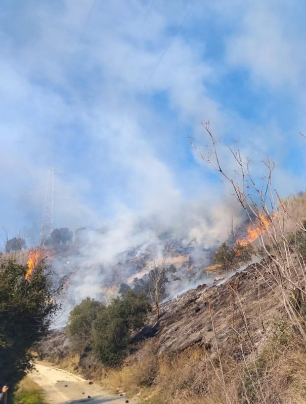 Defne'de çıkan bahçe yangınından alevler yükseldi