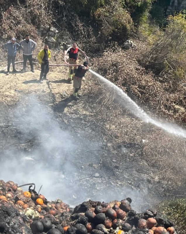 Samandağ'da bahçede çıkan yangın büyümeden söndürüldü