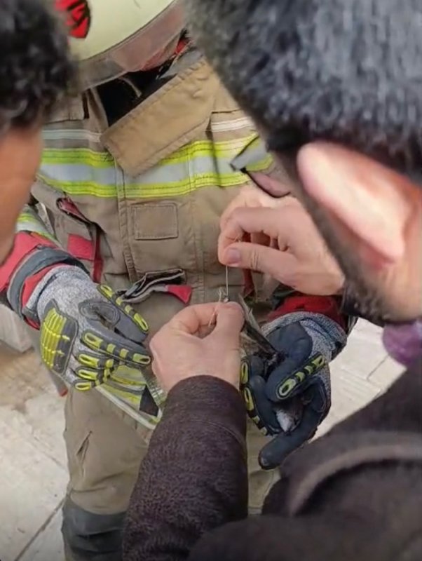 İskenderun’da ipe dolanan kuş kurtarıldı