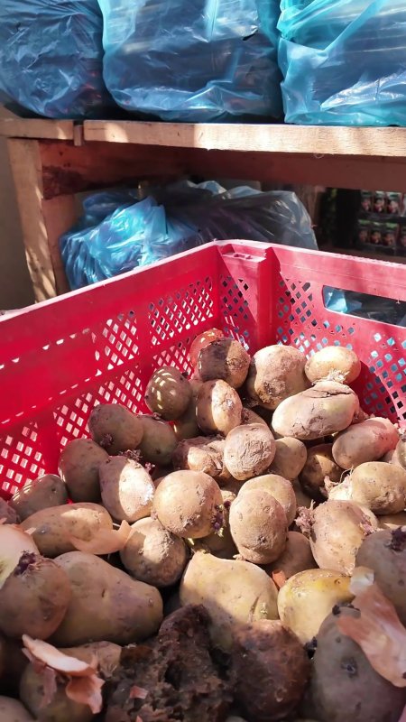 Mide bulandıran görüntüler