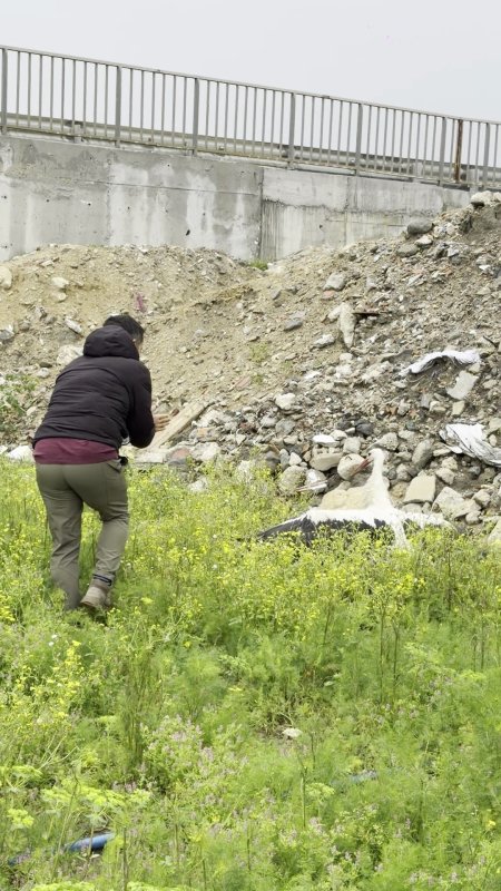 Kuş gözlemcisi Erol Yüksek, 