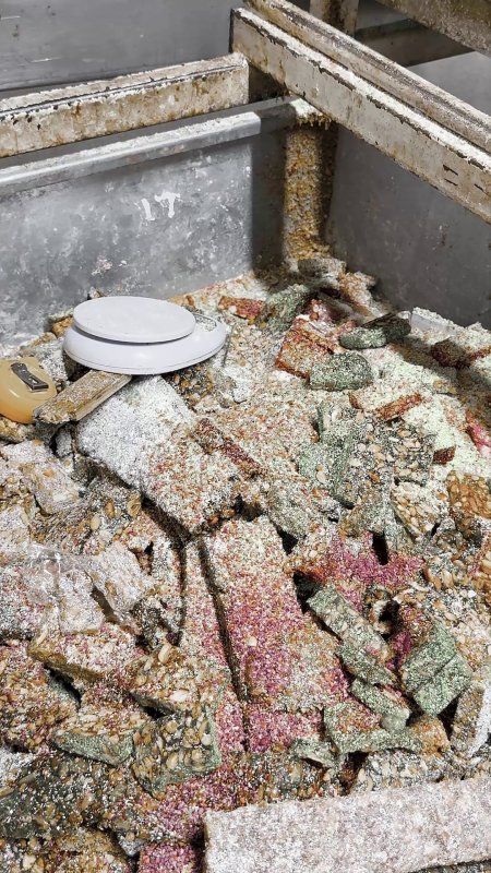 Kötü koku üzerine girilen evde mide bulandıran şartlarda lokum ve cezerye üretildiği ortaya çıktı