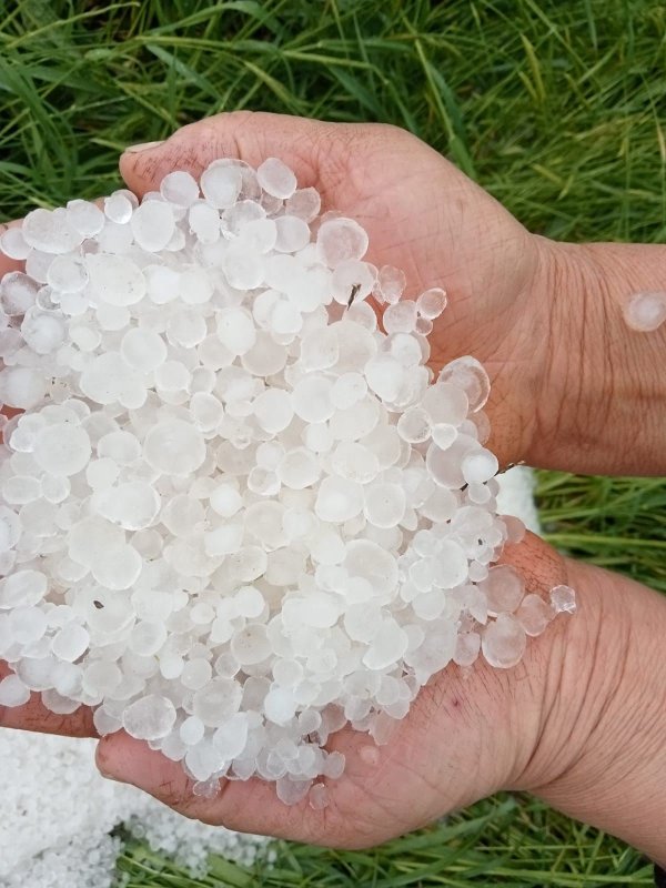 Hatay'da Dolu Zararı: Tarım Arazileri Zarar Gördü