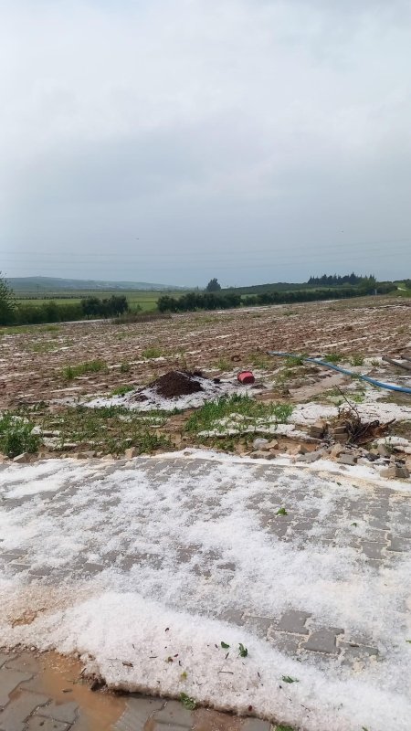 Hatay'da Dolu Zararı: Tarım Arazileri Zarar Gördü
