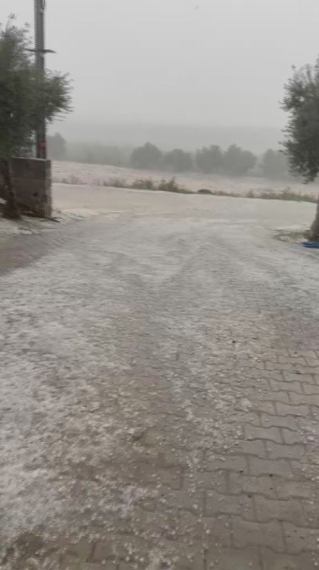 Hatay'da Dolu Zararı: Tarım Arazileri Zarar Gördü