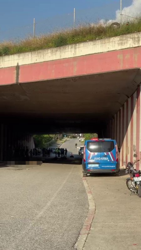 Otomobil sürüye daldı, 17 koyun telef oldu