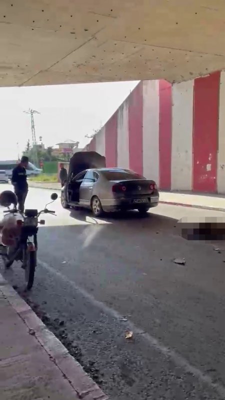 Otomobil sürüye daldı, 17 koyun telef oldu