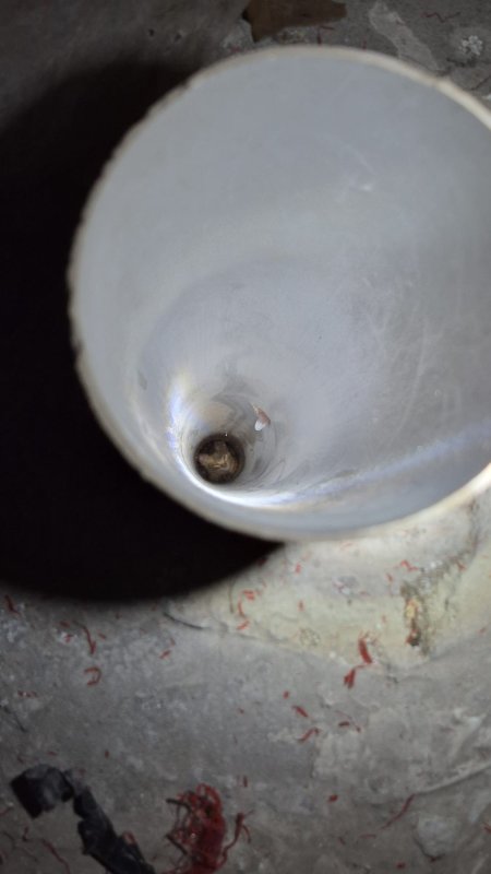 Boruda mahsur kalan kedi duvar kırılarak kurtarıldı