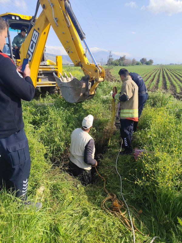 Antakya’da kuyuya düşen büyükbaş hayvan kurtarıldı