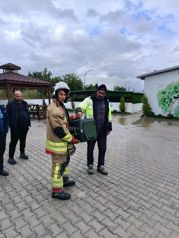 Arsuz'da otomobilin motoruna giren kediler kurtarıldı