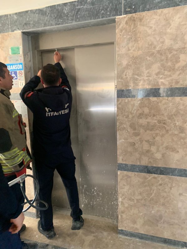 Asansör boşluğuna düşen yavru kediyi itfaiye kurtardı
