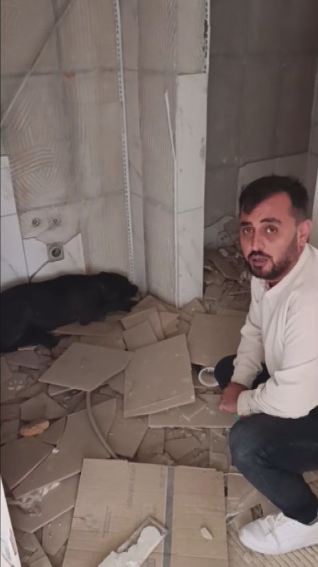 Canını hiçe sayan hayvanseverin ağır hasarlı binadan köpeği kurtardığı anlar kamerada