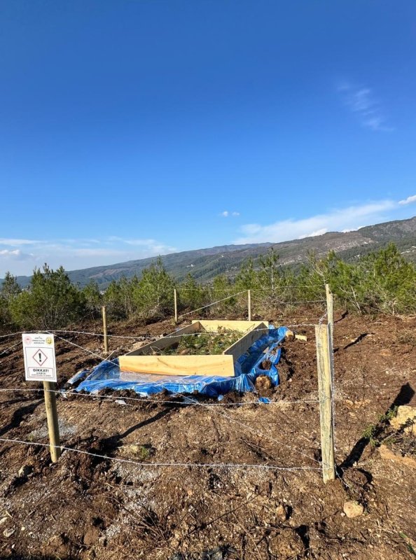 ORMANLARDA ZARARLIYA DOĞAL MÜDAHALE