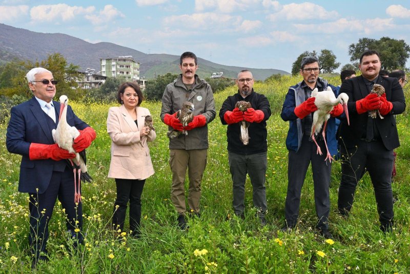  Hatay MKÜ’de tedavi Edilen 10 Yabani Kuş Özgürlüğüne Kavuştu 